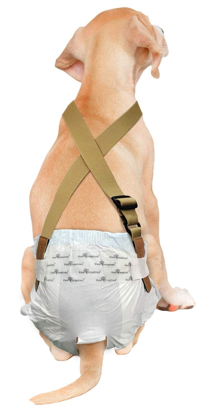 Paw Inspired Dog Diaper Suspenders with Velcro Fasteners | Stretchy Adjustable Suspenders for Female and Male Disposable and Washable Diapers | Fits Small, Medium and Large Size Pets (S/M, Brown) - Image 1